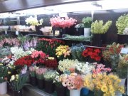 栃木県佐野市の花屋 花吉生花店にフラワーギフトはお任せください 当店は 安心と信頼の花キューピット加盟店です 花キューピットタウン