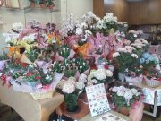 「花吉生花店」　（栃木県佐野市）の花屋店舗写真2
